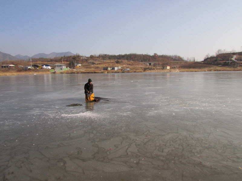 새해복많이받으세요 (조황조행기 - 특파원조황)