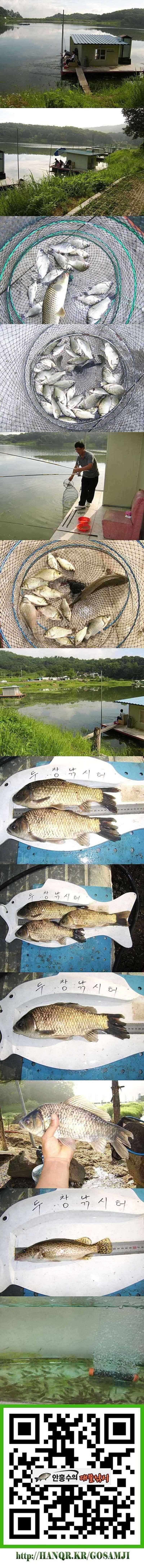 두창지 초보님들께 추천합니다 (조황조행기 - 특파원조황)