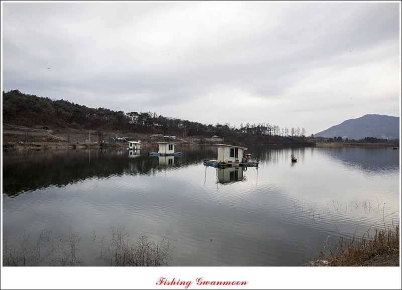 충주괴산권 조황 소식 (조황조행기 - 특파원조황)