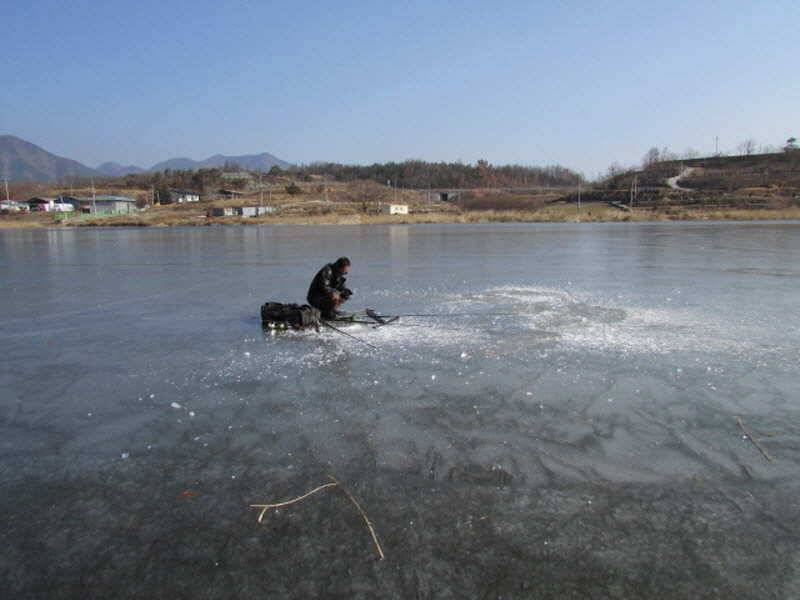 새해복많이받으세요 (조황조행기 - 특파원조황)