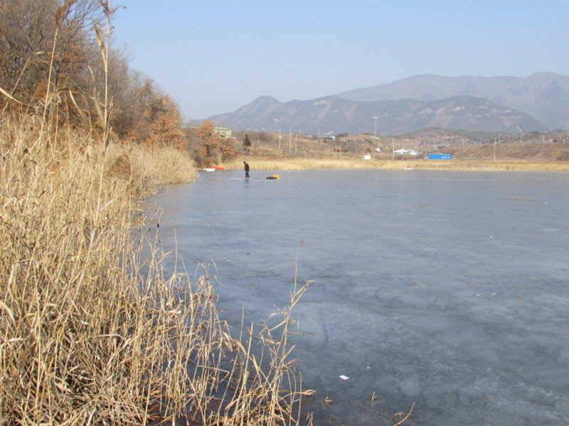 새해복많이받으세요 (조황조행기 - 특파원조황)
