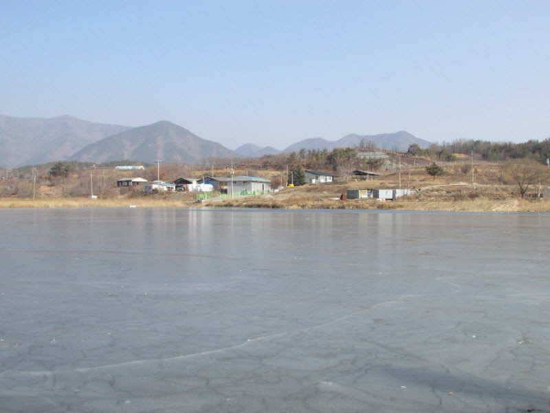 새해복많이받으세요 (조황조행기 - 특파원조황)