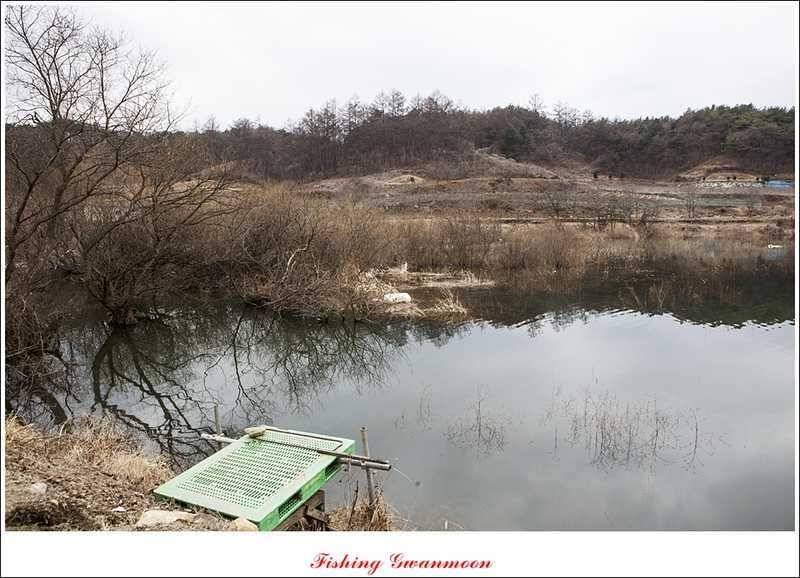 충주괴산권 조황 소식 (조황조행기 - 특파원조황)