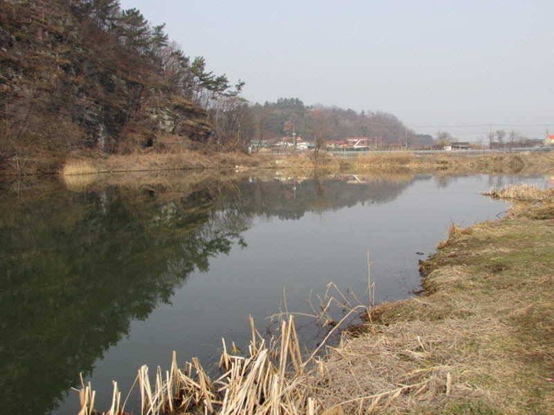 풍성한 3월4째주 조황입니다 (조황조행기 - 특파원조황)