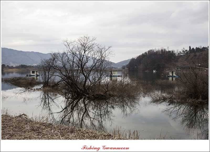 충주괴산권 조황 소식 (조황조행기 - 특파원조황)