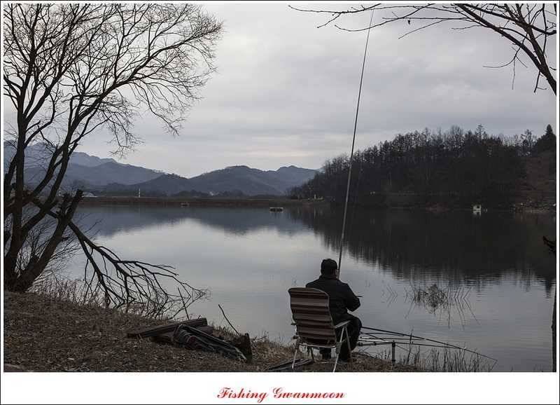 충주괴산권 조황 소식 (조황조행기 - 특파원조황)