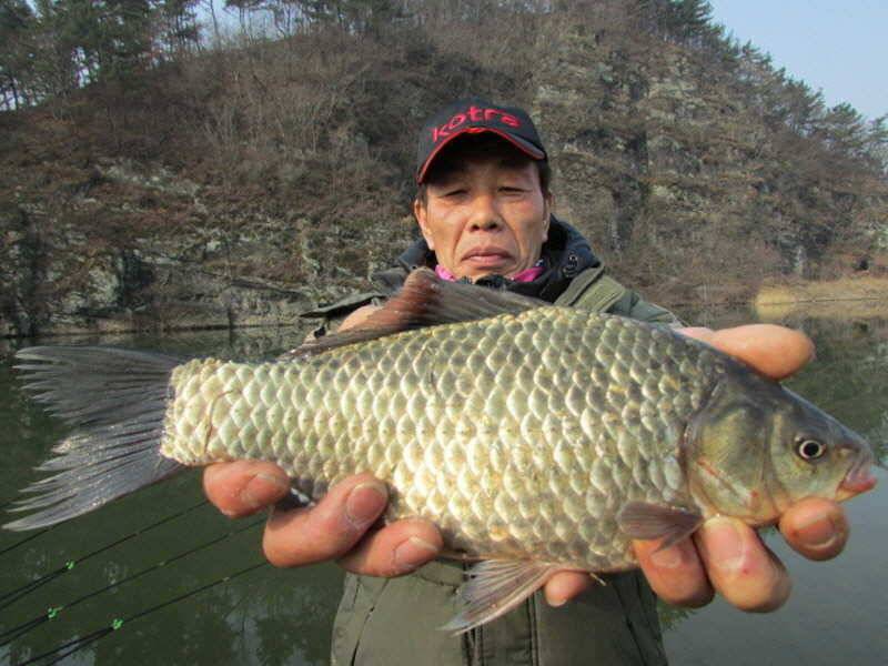 풍성한 3월4째주 조황입니다 (조황조행기 - 특파원조황)
