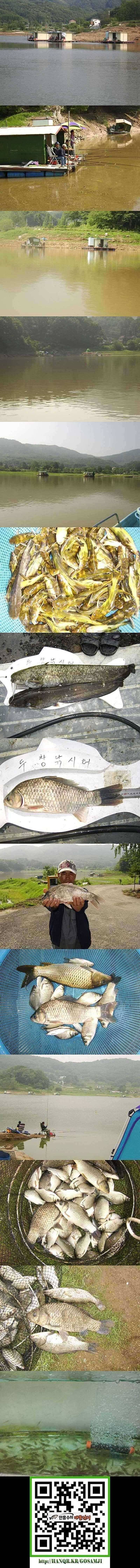 두창지 오름수위 조황 (조황조행기 - 특파원조황)