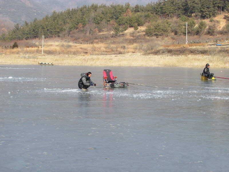 새해복많이받으세요 (조황조행기 - 특파원조황)