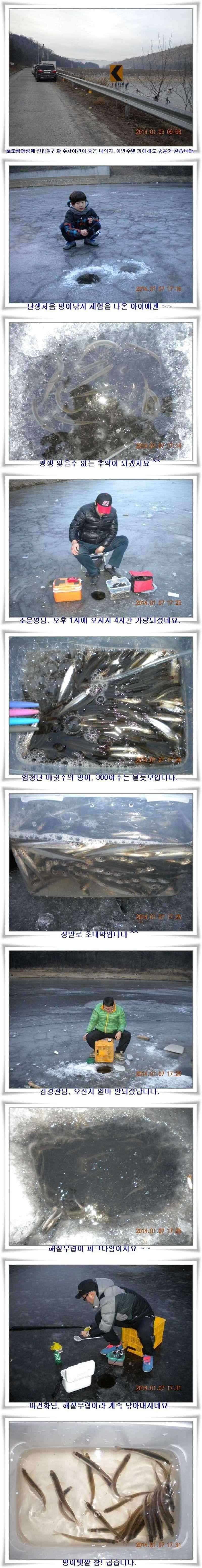 내의지 빙어호조황 (조황조행기 - 특파원조황)