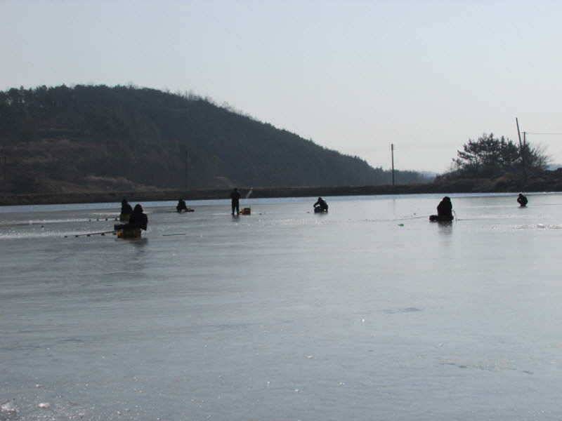 새해복많이받으세요 (조황조행기 - 특파원조황)