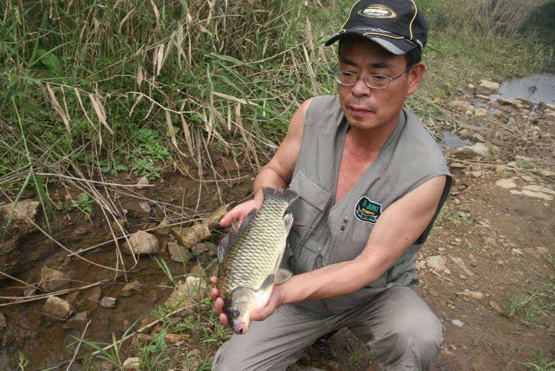충주호 노지 (조황조행기 - 특파원조황)