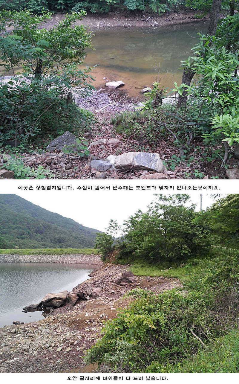 청도권 주중조황 (조황조행기 - 특파원조황)
