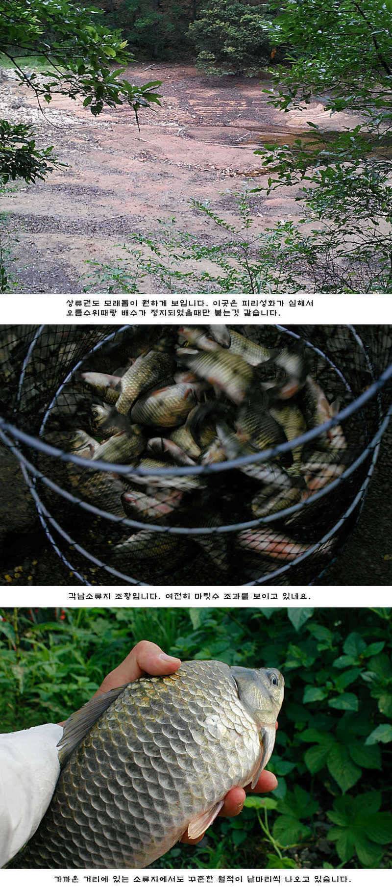 청도권 주중조황 (조황조행기 - 특파원조황)