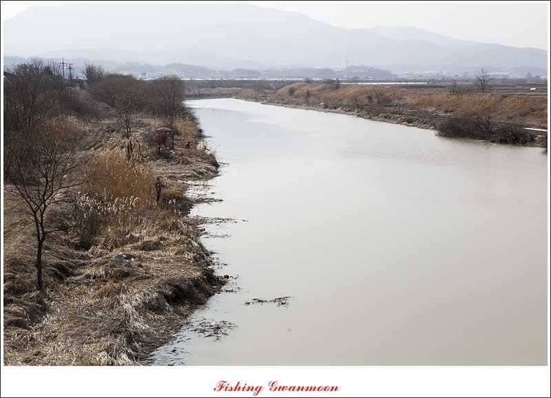 충주괴산권 조황 소식 (조황조행기 - 특파원조황)