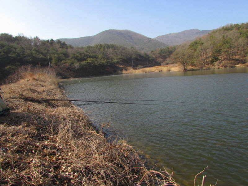 새해복많이받으세요 (조황조행기 - 특파원조황)