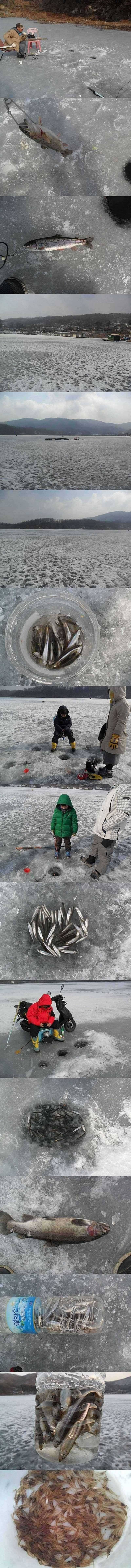 두창지 빙질상태 매우 좋습니다 (조황조행기 - 특파원조황)