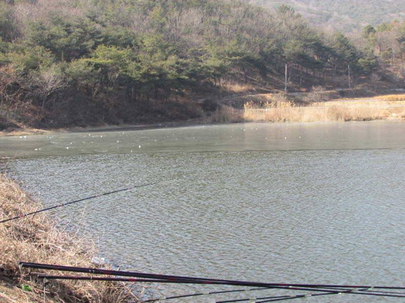 새해복많이받으세요 (조황조행기 - 특파원조황)