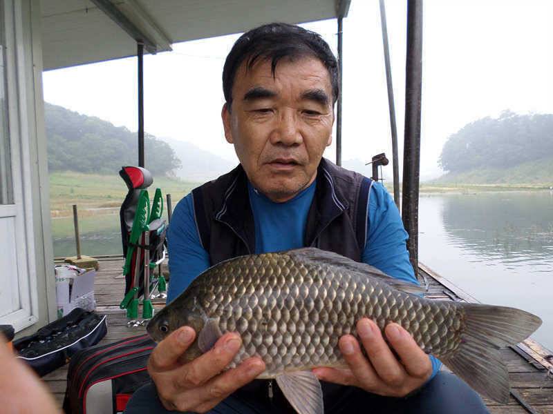 하천낚시터 준척에서 대물급까지 (조황조행기 - 특파원조황)