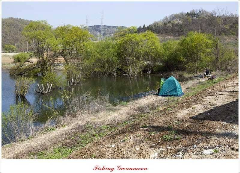 화곡지 조황 (조황조행기 - 특파원조황)