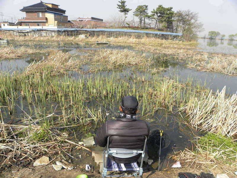 완제지 등 씨알에 마릿수까지 (조황조행기 - 특파원조황)