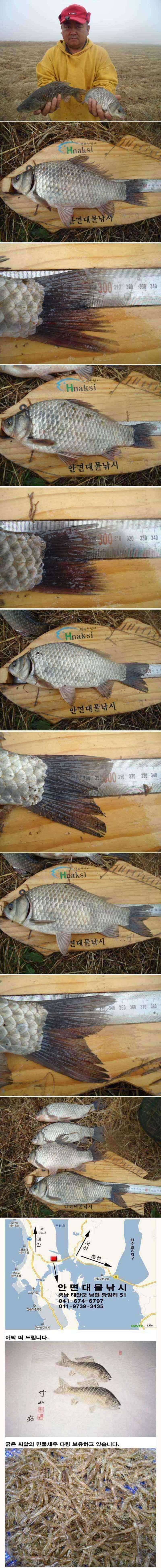 모 아니면 도 (조황조행기 - 특파원조황)