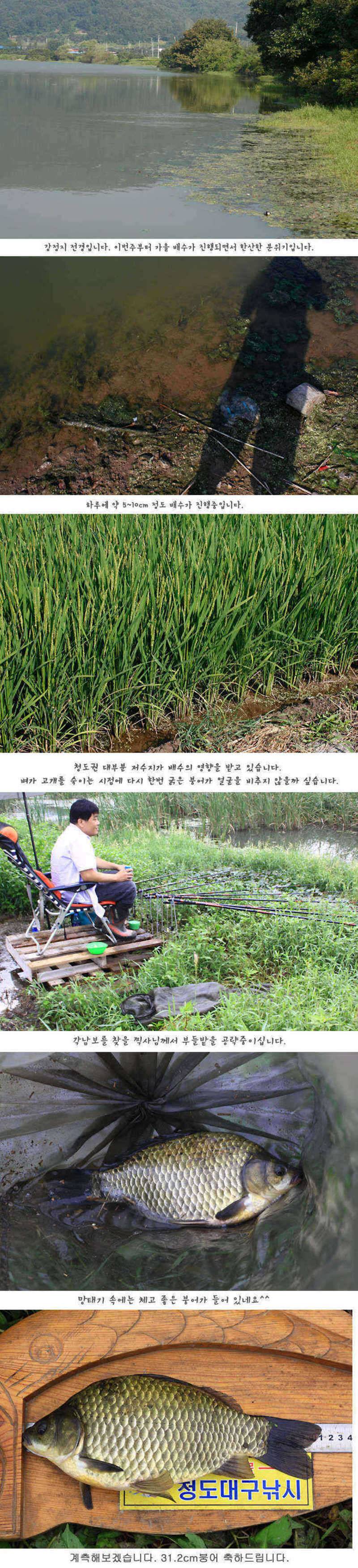 청도권 주중 조황정보 (조황조행기 - 특파원조황)