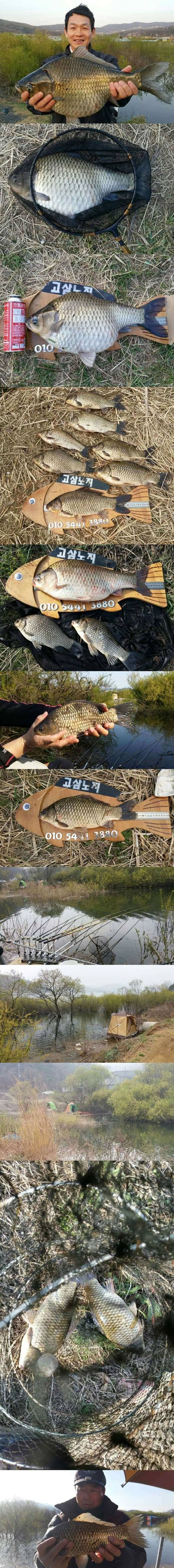 고삼지 괴물들이 쓱 (조황조행기 - 특파원조황)