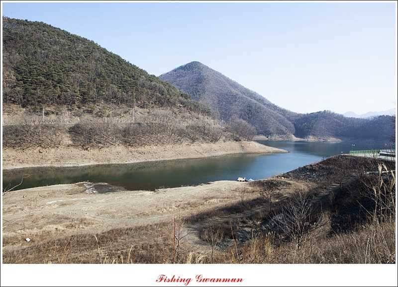 물낚시 월척들 (조황조행기 - 특파원조황)