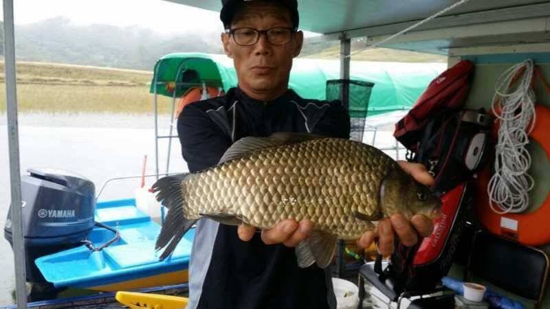 충주호 장임식 낚시터 약 43cm급 대물외 (조황조행기 - 특파원조황)