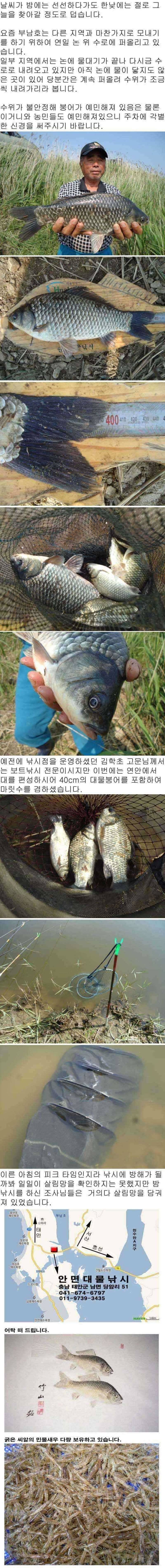 523 부남호 낚시의 정석 (조황조행기 - 특파원조황)