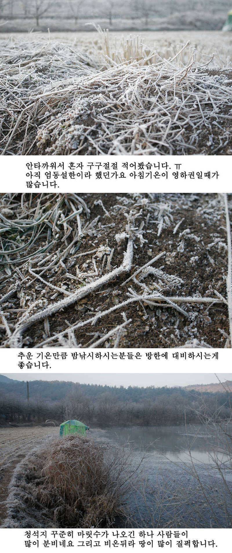 청도권 주말조황 시즌못지않네요 (조황조행기 - 특파원조황)