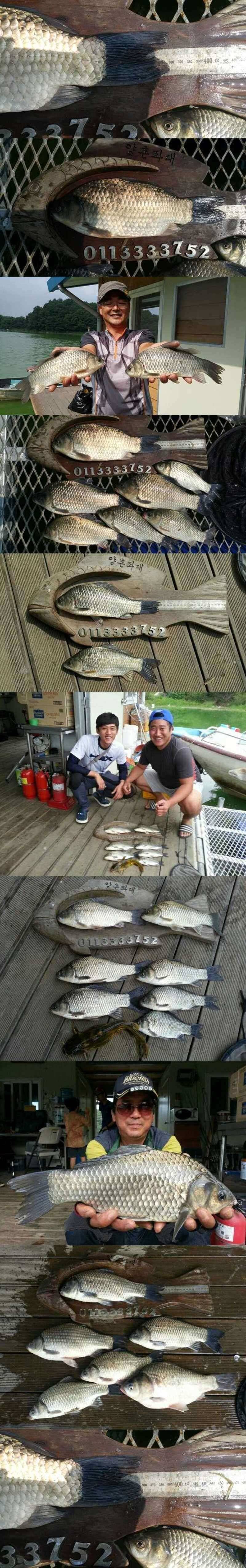 고삼지 조과 편차가 있습니다 (조황조행기 - 특파원조황)