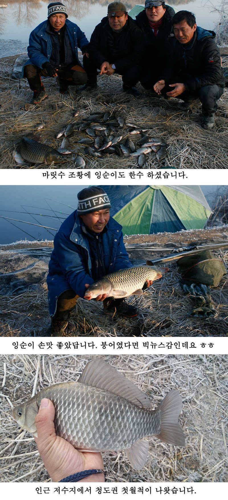 청도권 주말조황 시즌못지않네요 (조황조행기 - 특파원조황)