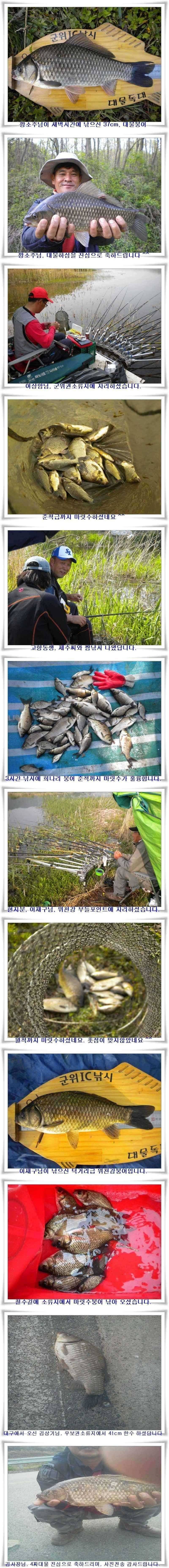 출조때마다 대물 월척 (조황조행기 - 특파원조황)