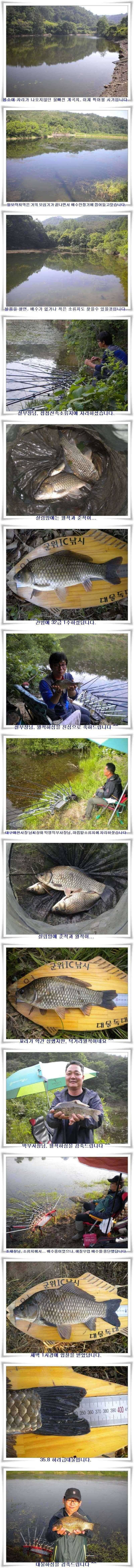배수기 조황 (조황조행기 - 특파원조황)