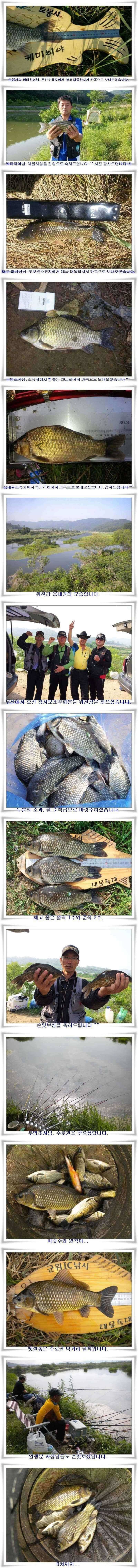배수기 조황 (조황조행기 - 특파원조황)