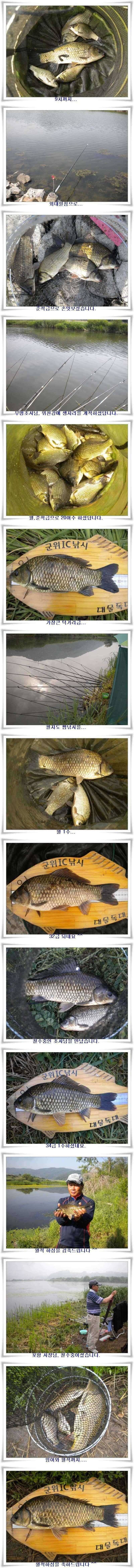 배수기 조황 (조황조행기 - 특파원조황)