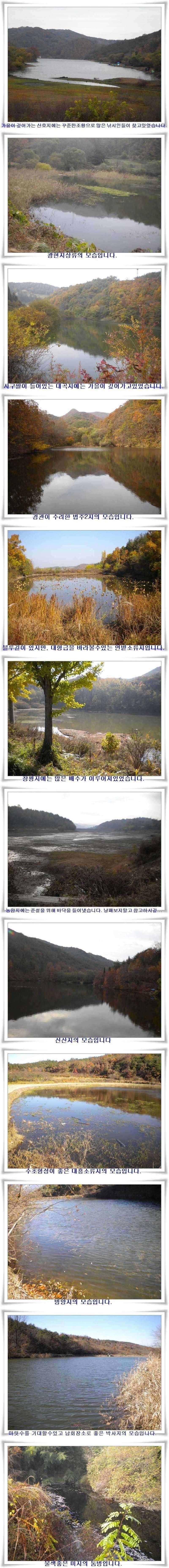 한파에도 월척이 (조황조행기 - 특파원조황)