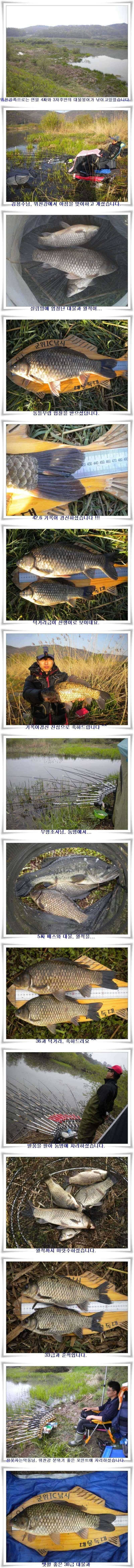 연일4짜3938대물조황들 (조황조행기 - 특파원조황)
