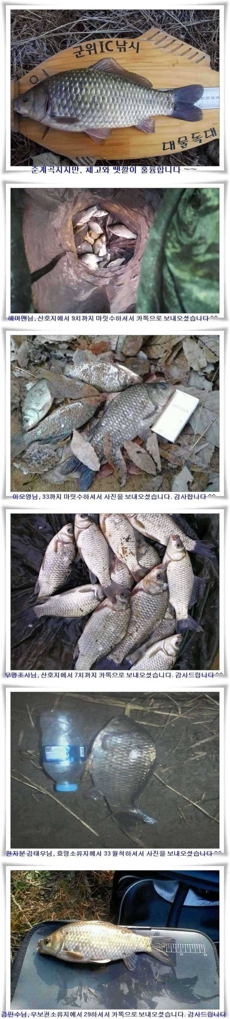 한파에도 월척이 (조황조행기 - 특파원조황)