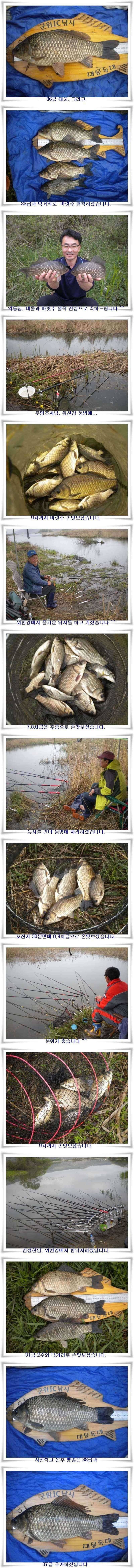 연일4짜3938대물조황들 (조황조행기 - 특파원조황)
