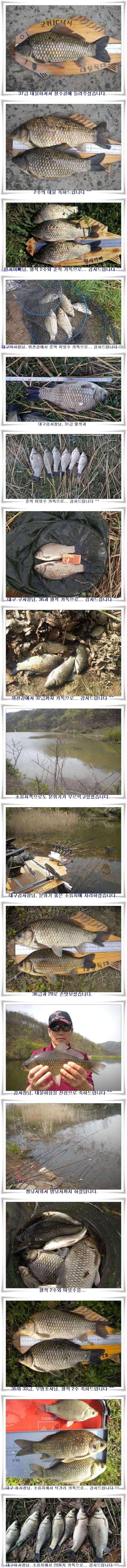연일4짜3938대물조황들 (조황조행기 - 특파원조황)