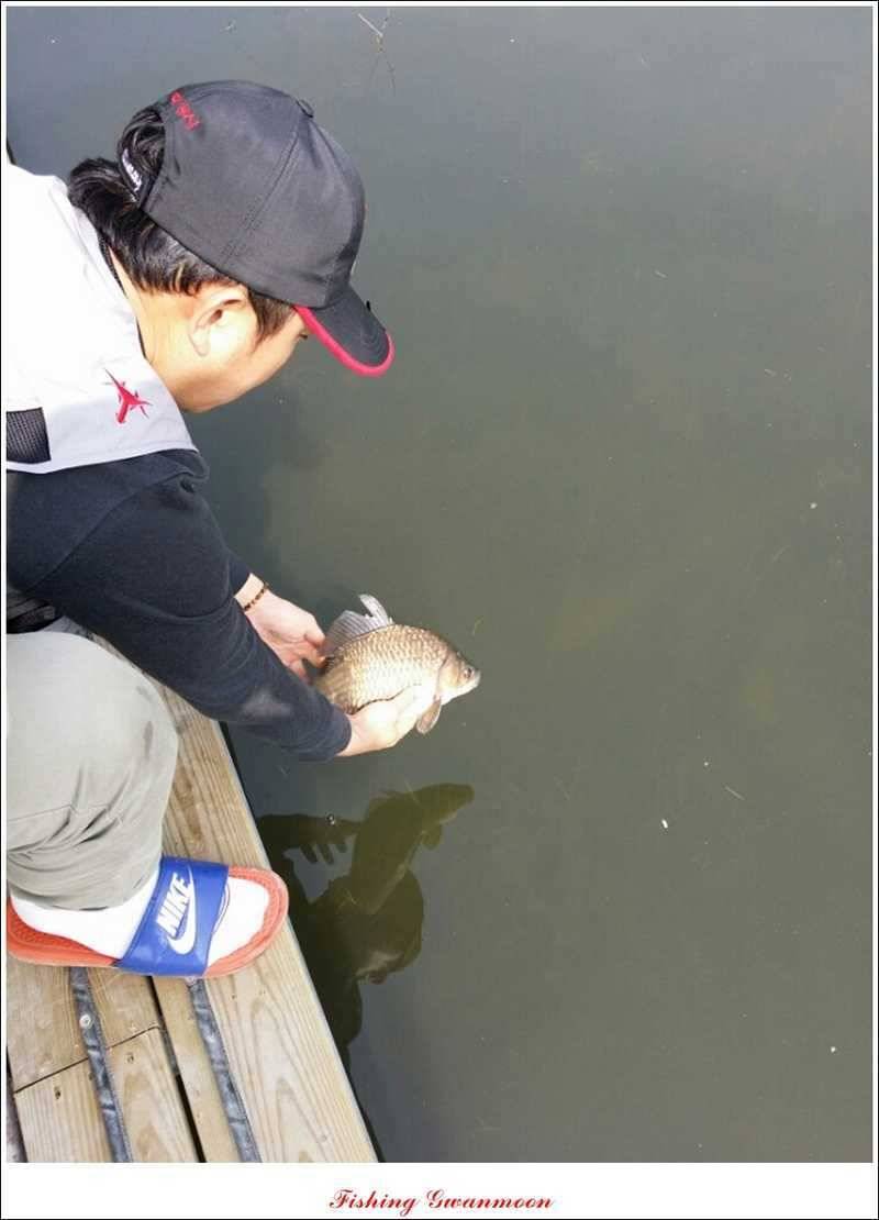 충주호 노지 38 cm저수지 사짜들 (조황조행기 - 특파원조황)