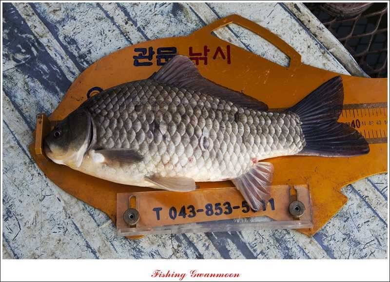 칠성지 사짜 (조황조행기 - 특파원조황)