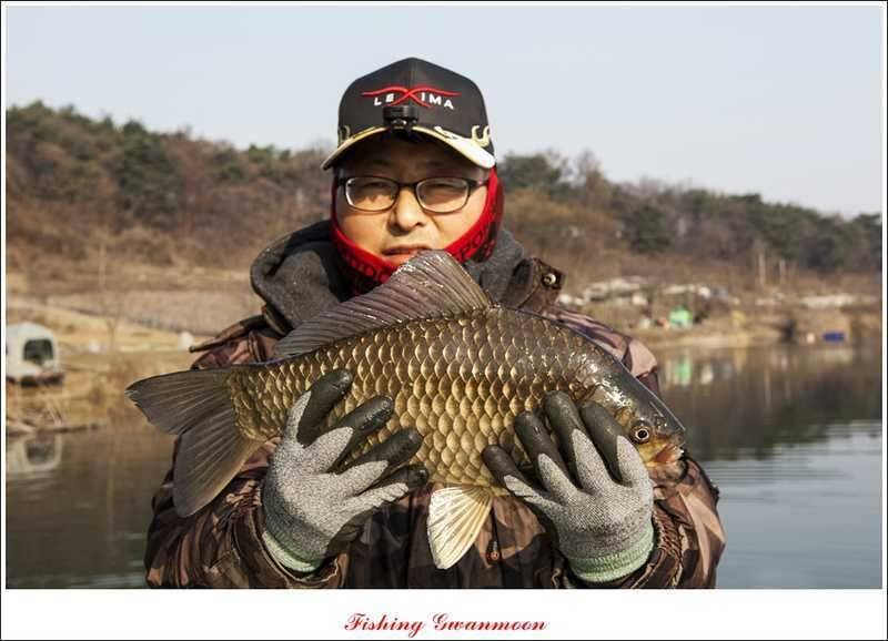 칠성지 사짜 (조황조행기 - 특파원조황)