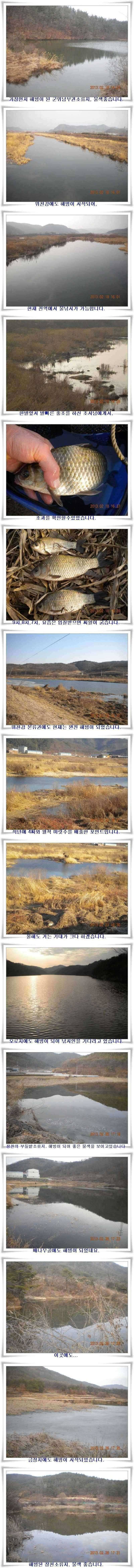 물낚시와 소류지해빙 (조황조행기 - 특파원조황)