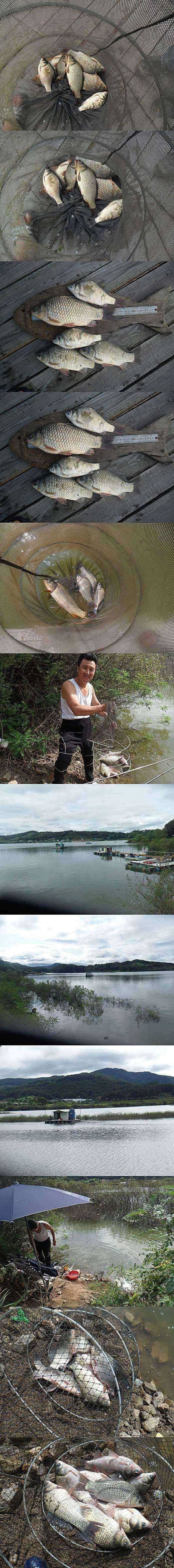 고삼지 노지조황이 좋았습니다 (조황조행기 - 특파원조황)