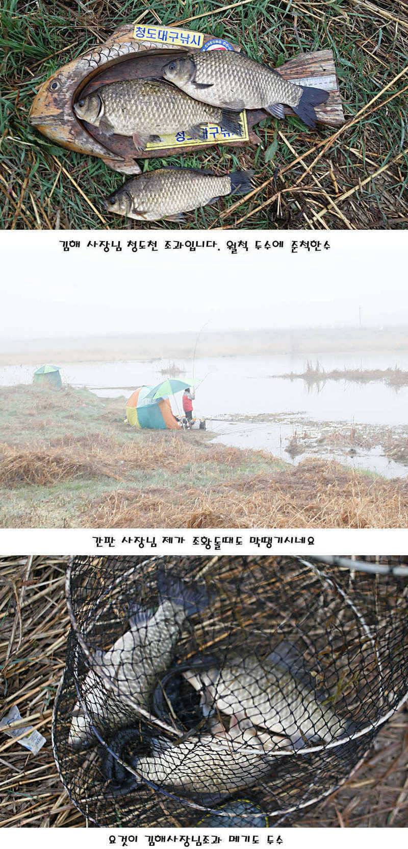 청도권 빵빵 터집니다 (조황조행기 - 특파원조황)