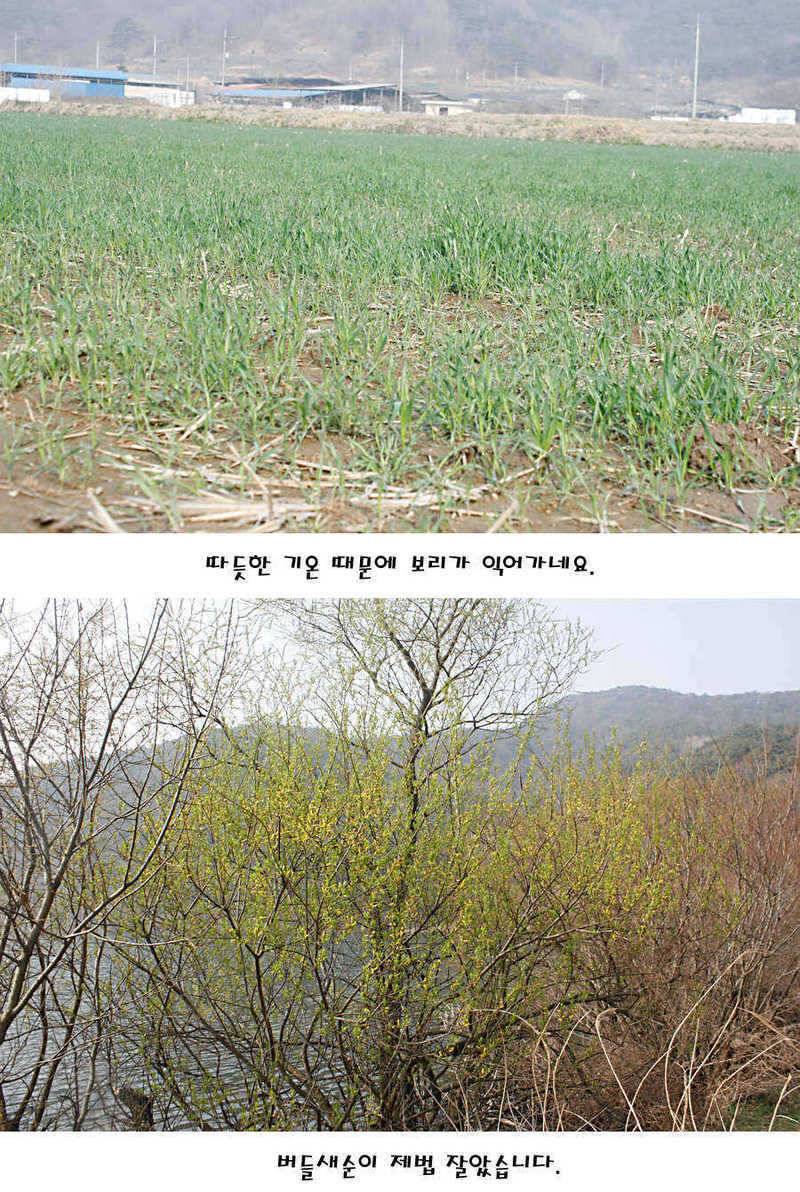 청도권 빵빵 터집니다 (조황조행기 - 특파원조황)